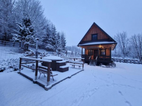 Markowa Chata Bieszczady